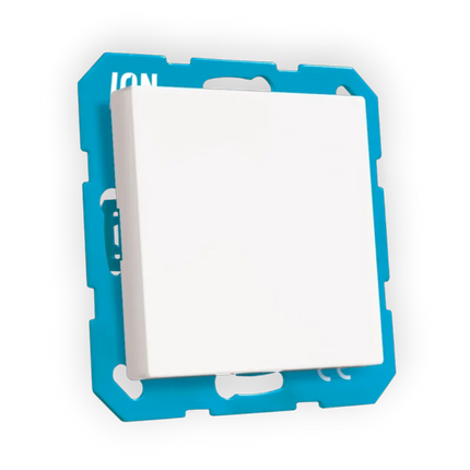 ION Industries Blindplaat - J1/V1