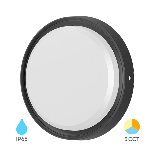 Braytron LED Wandlamp - Rond - 12W - IP65 - CCT - Zwart