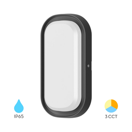 Braytron LED Wandlamp - 12W - IP65 - CCT