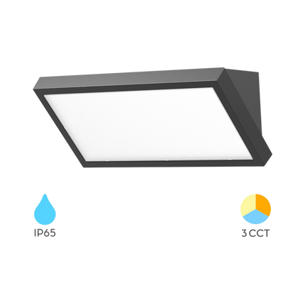 Braytron Napoli LED Wandlamp - 20W - IP65 - CCT - Antraciet