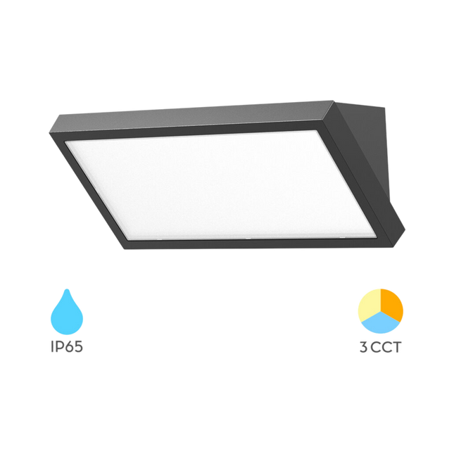 Braytron Napoli LED Wandlamp - 20W - IP65 - CCT - Antraciet
