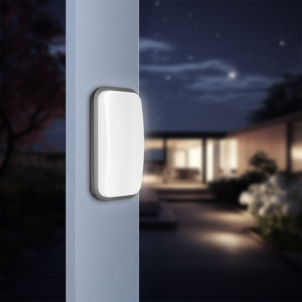 Braytron LED Wandlamp - 15W - IP65 - 6500K - Zwart