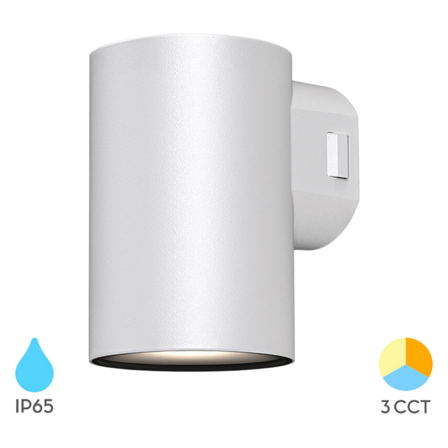 Braytron Vekta LED Wandlamp - 9W - IP65 - CCT