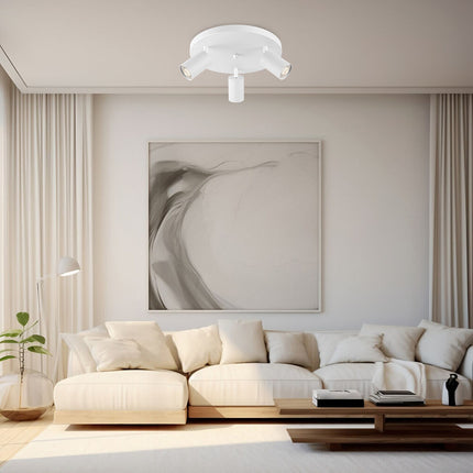 Braytron Beta LED Plafondlamp - Rond - IP20